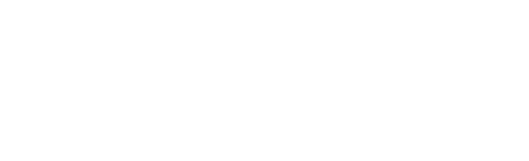 Bronwater Logo